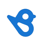 Birdeye Logo